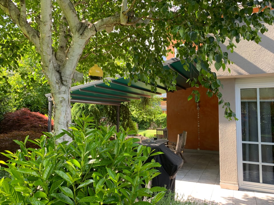 Pergola